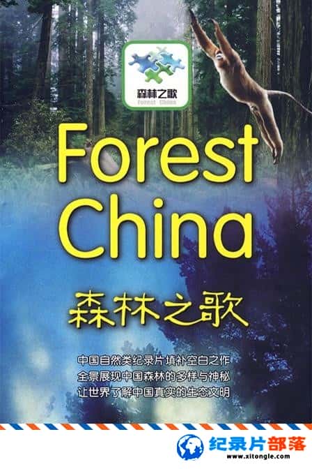 ̬¼Ƭɭ֮ Forest China ͨ ¼Ƭ-Ѹ