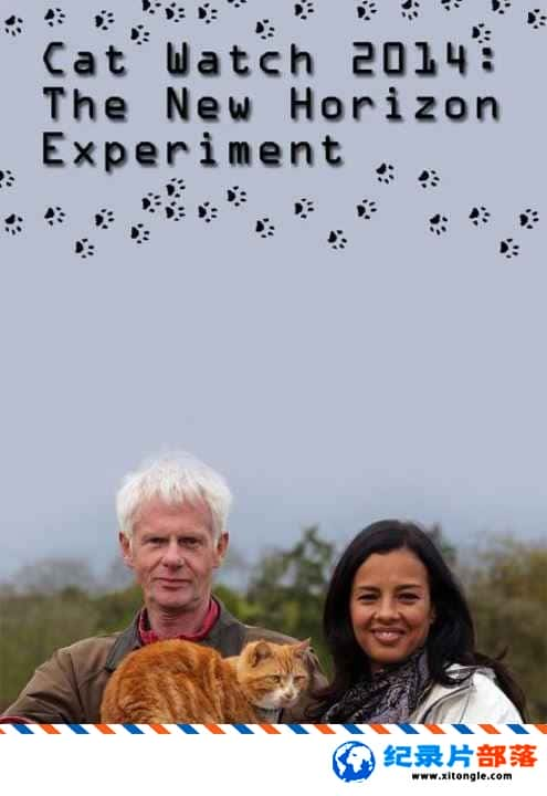 ѧ̽¼Ƭè۲:ʵ Cat Watch:The New Horizon Experiment ӢĻ ٶ̸¼Ƭ-Ѹ