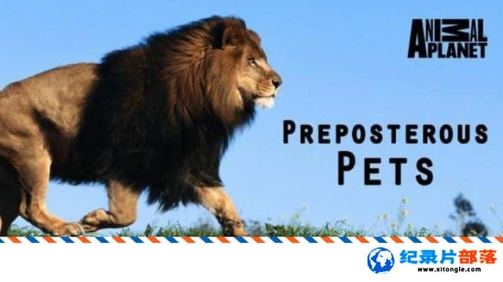 ѧ̽¼Ƭ Preposterous Pets -Ѹ