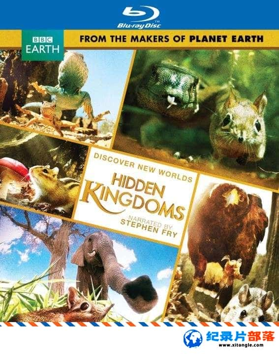 ̬¼Ƭ Hidden Kingdoms Ӣ˫Ļ 1080P ΢Ͷ¼Ƭ-Ѹ