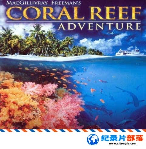 ̬¼Ƭɺռ Coral Reef Adventure4K Ӣ 2160P ɺ¼Ƭ-Ѹ