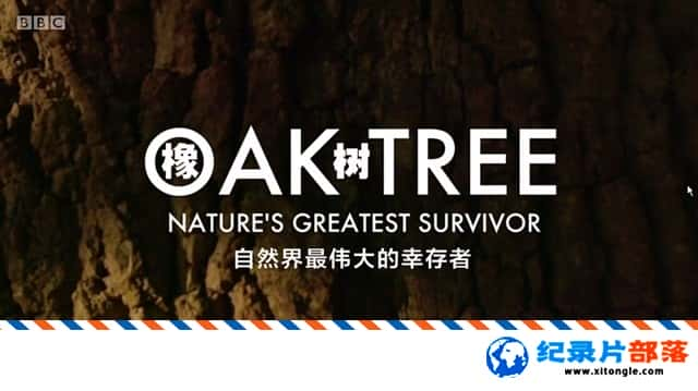 ̬¼Ƭ ȻΰҴ Oak Tree Natures Greatest Survivor 2015ӢӢ˫ 720P ֲ¼Ƭ-Ѹ