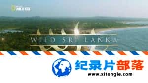 ̬¼ƬҰ˹ Wild Sri Lanka Ӣ 1080P ˹¼Ƭ-Ѹ