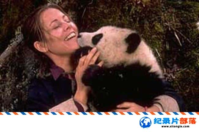 ʷ¼Ƭè̽ The Panda AdventureӢ˫ HD è¼Ƭ-Ѹ