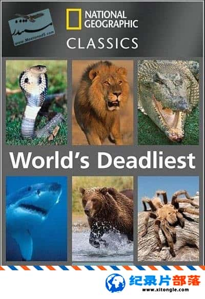 ̬¼Ƭϵ Worlds Deadliest Animals  Ӣ 720P ¼Ƭ-Ѹ