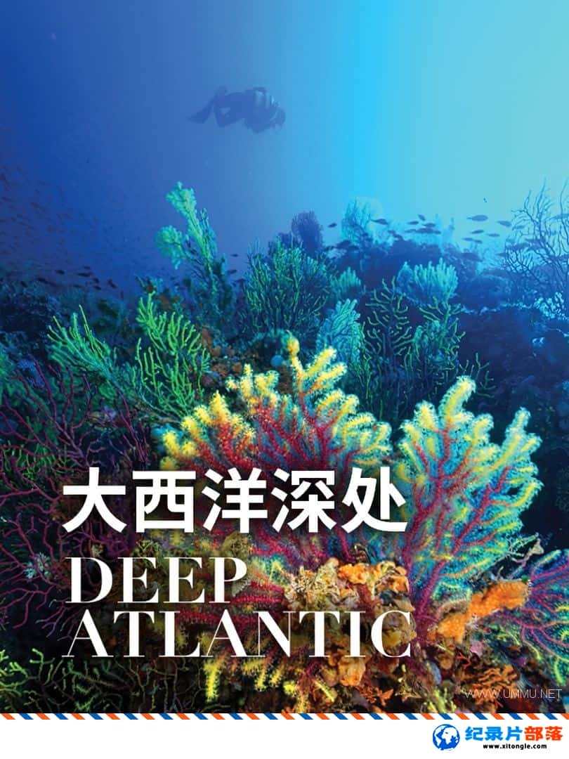̬¼Ƭ Deep Atlantic 2019 ӢӢ˫-Ѹ