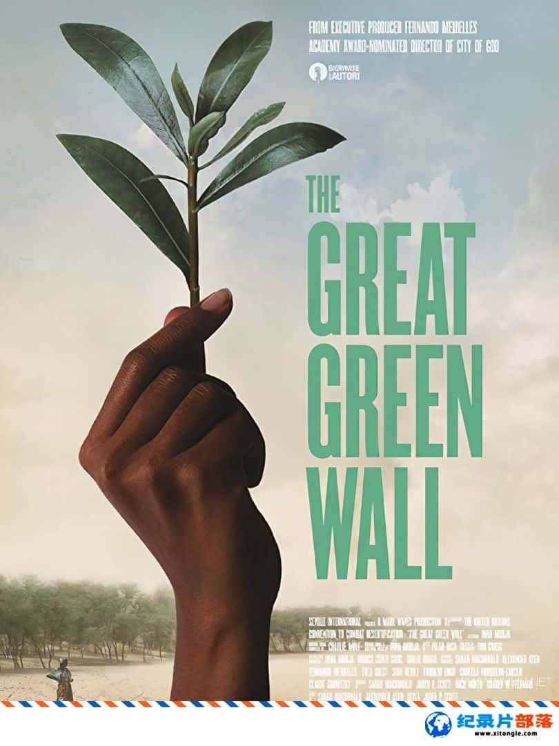 ʷ¼Ƭɫ The Great Green Wall 2019Ӣ˫-Ѹ