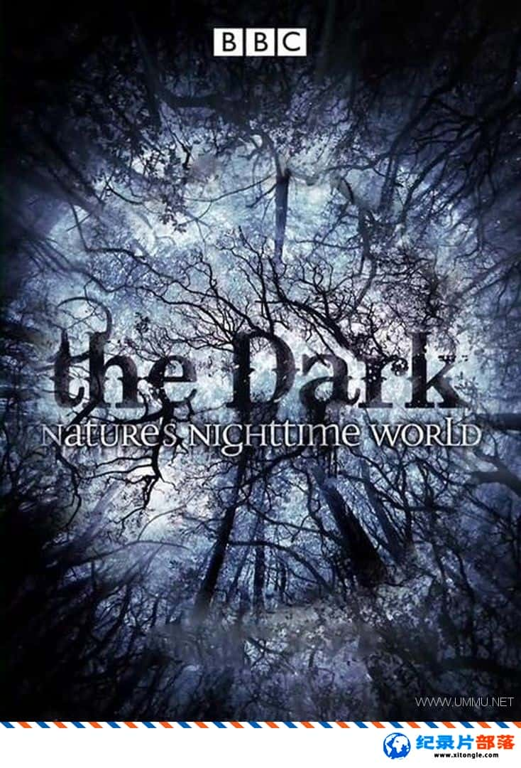 ̬¼Ƭҹж̽/ڰеȻ The Dark: Nature Nighttime World 2012 Ӣ-Ѹ