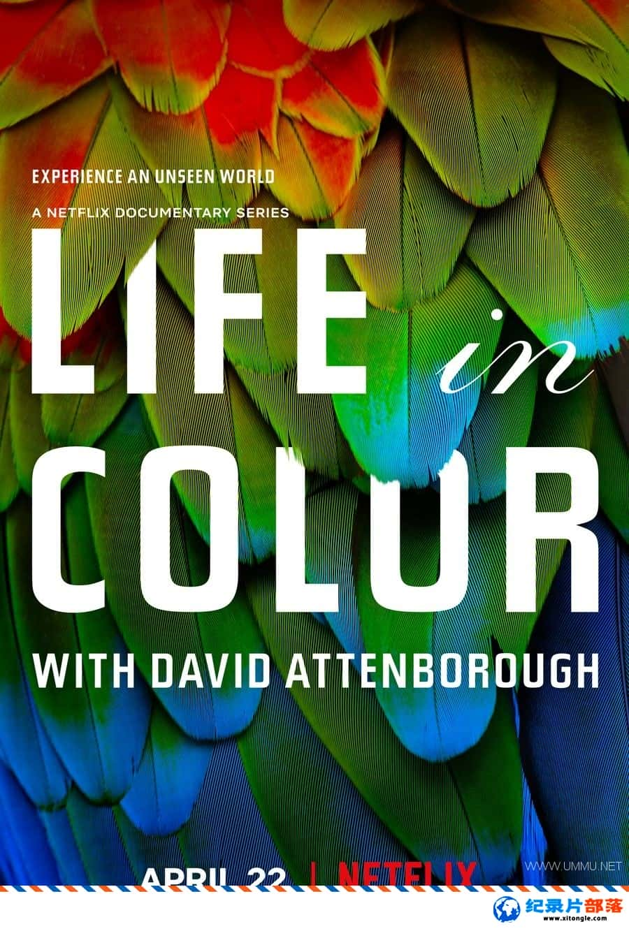 ̬¼ƬȻɫ/ Life In Colour 2021 Netflix Ӣ-Ѹ