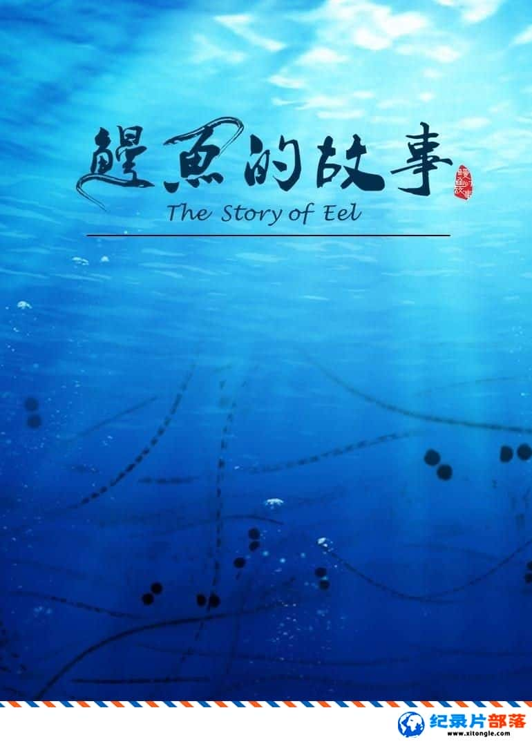 ¼¼ƬĹ The Story of Eel 2019 -Ѹ