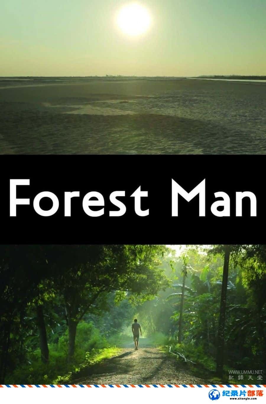 ʷ¼Ƭɭػ Forest Man 2013Ӣ-Ѹ