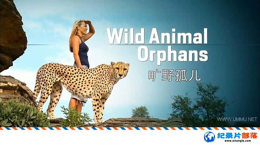 ѧ̽¼ƬҰ¶/Ұ¶ Wild Animal Orphans Ӣ-Ѹ