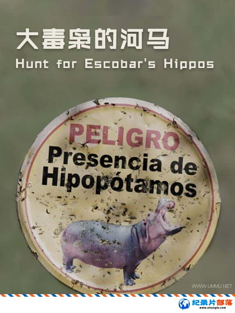 ѧ̽¼Ƭɵĺ The Hunt for Escobar Hippos 2020ӢӢ˫-Ѹ