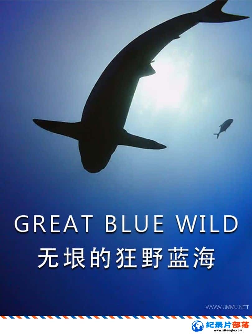 ̬¼ƬĿҰ Great Blue Wildһ ӢӢ˫-Ѹ