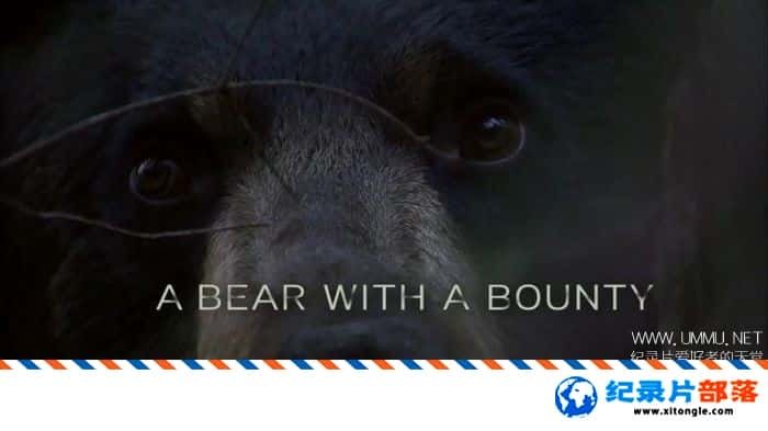 ̬¼Ƭ͵ A Bear with a BountyӢӢ-Ѹ