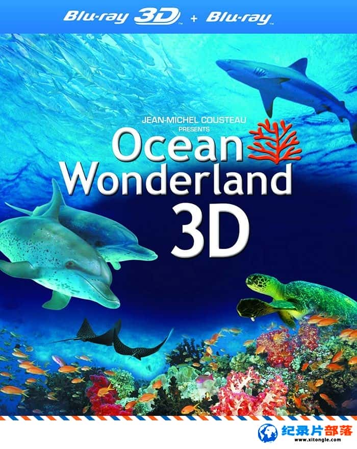 ̬¼Ƭɾ Ocean Wonderland 2015Ӣ-Ѹ