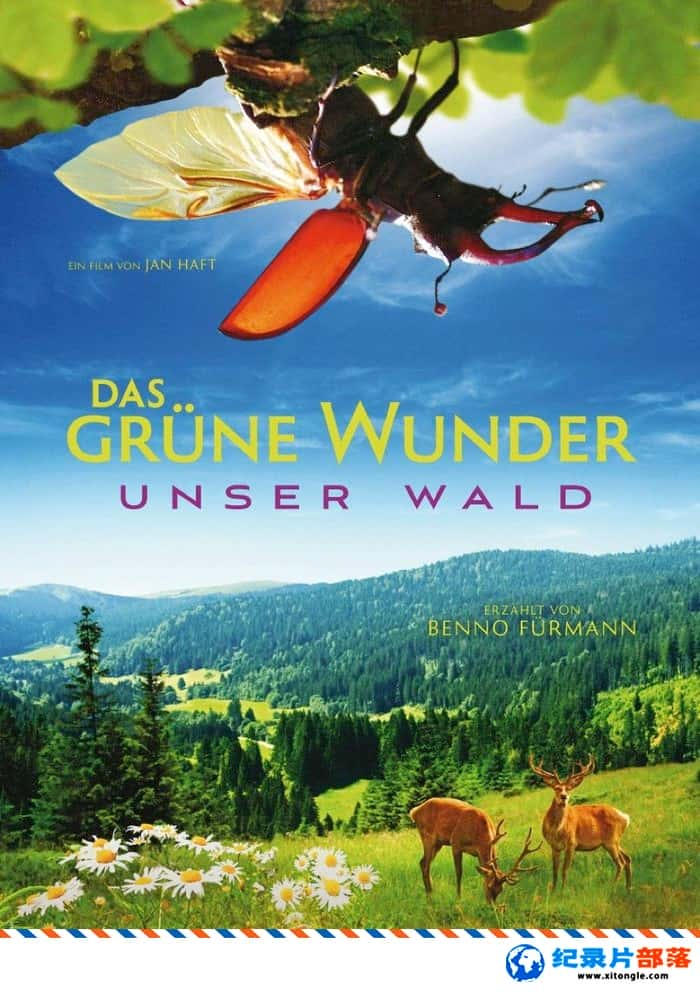 ̬¼ƬȻ֮ Das grne Wunder - Unser Wald 2012ӢӢ˫-Ѹ