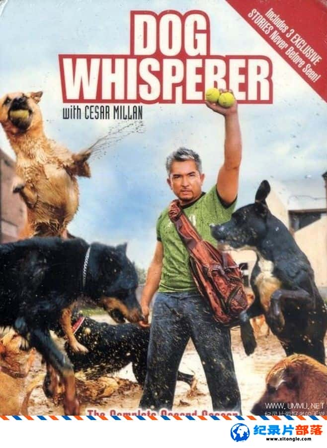 ѧ̽¼Ƭ ѡ Dog Whisperer with Cesar Millan Ӣ-Ѹ