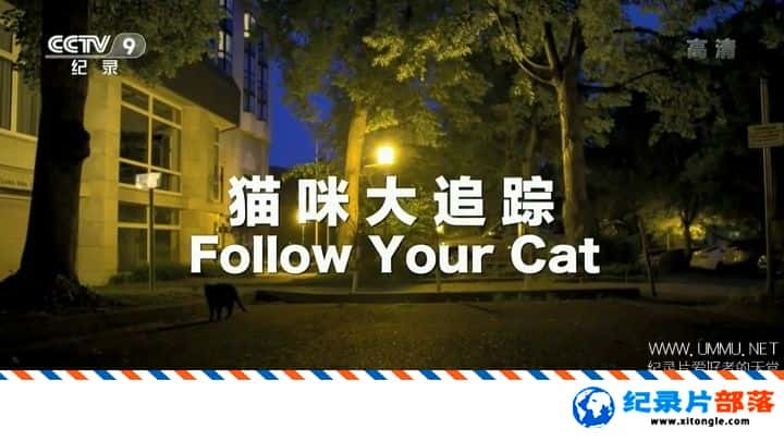 ʷ¼Ƭè׷ Follow Your Cat-Ѹ