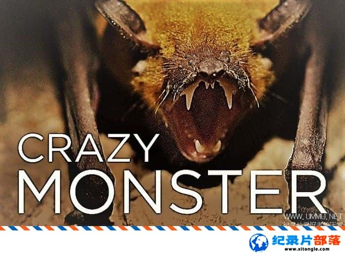 ̬¼Ƭ Crazy Monster 20151 Ӣ-Ѹ