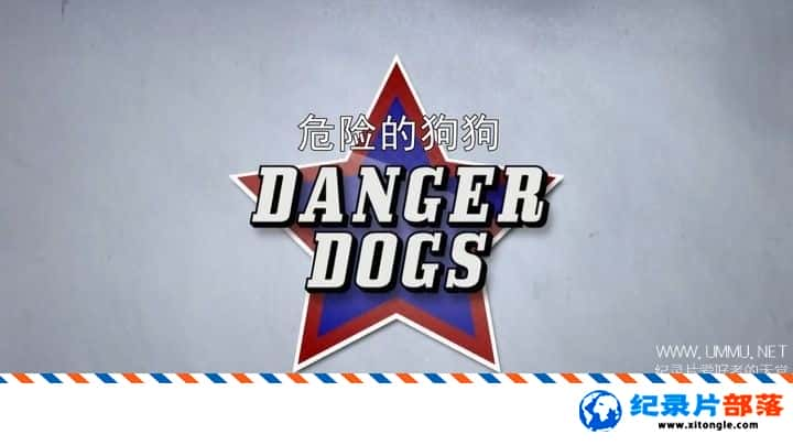 ѧ̽¼ƬΣյĹ Danger Dogs 2018 Ӣ-Ѹ