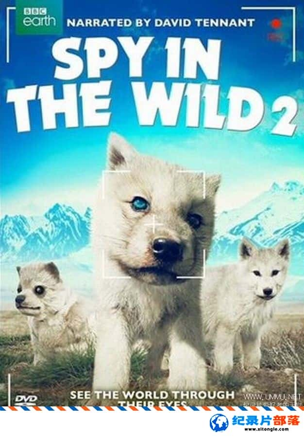 ѧ̽¼ƬҰ Spy in the Wild 2020ڶ Ӣ  ¼ƬҰ-Ѹ