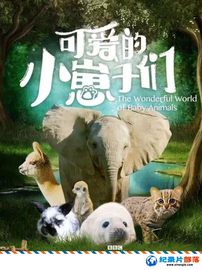 ѧ̽¼ƬɰС The Wonderful World of Baby Animals 2019 ӢӢ˫-Ѹ