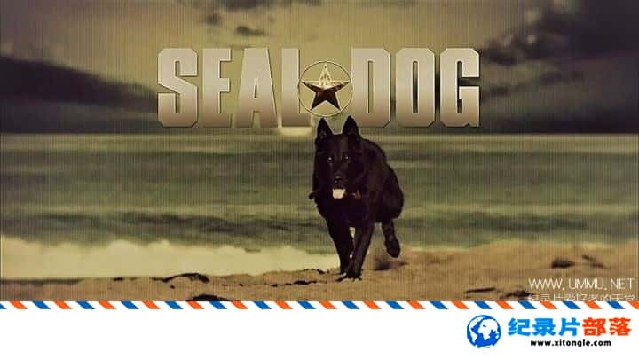 ʷ¼ƬͻӵľȮ Seal Dog 2014ӢӢ-Ѹ