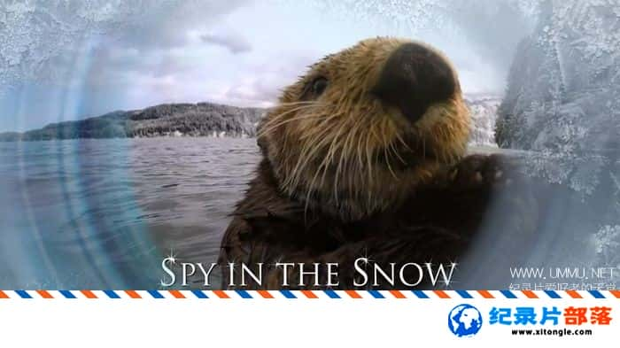 ̬¼Ƭѩع Spy in the Snow 2017Ӣ  ¼Ƭ-Ѹ