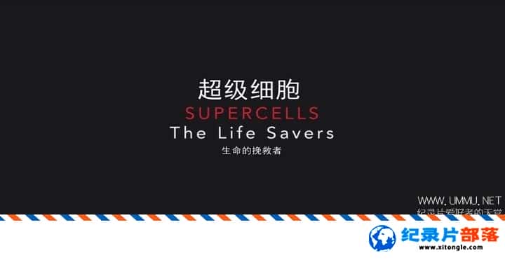 ѧ̽¼Ƭϸ Super Cells The Life Savers 2018Ӣ˫-Ѹ