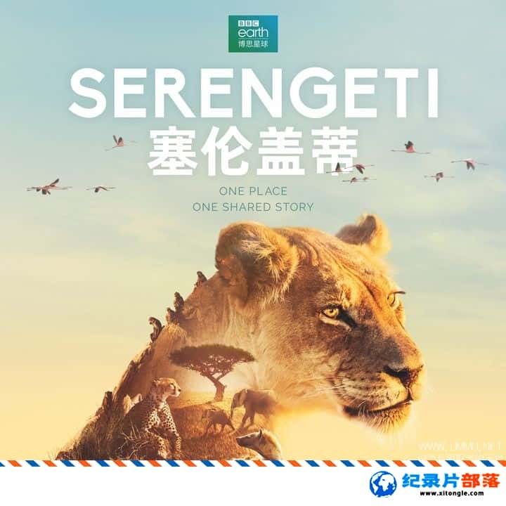 ѧ̽¼Ƭ׸ǵ Serengeti 2019һ ӢӢ-Ѹ