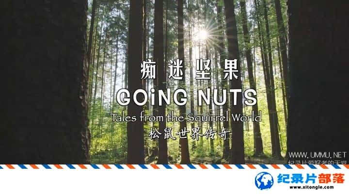 ʷ¼ƬԼ-紫 Going Nuts Tales from Squirrel World 2019ӢӢ˫-Ѹ