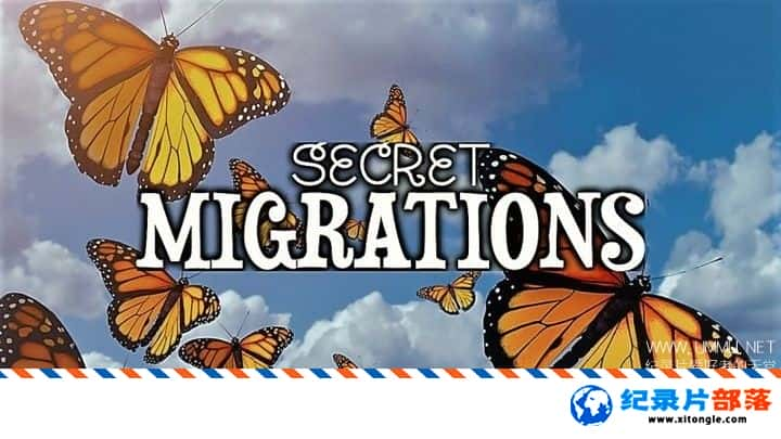 ѧ̽¼ƬǨ Secret Migrations 2019һ ӢӢ-Ѹ