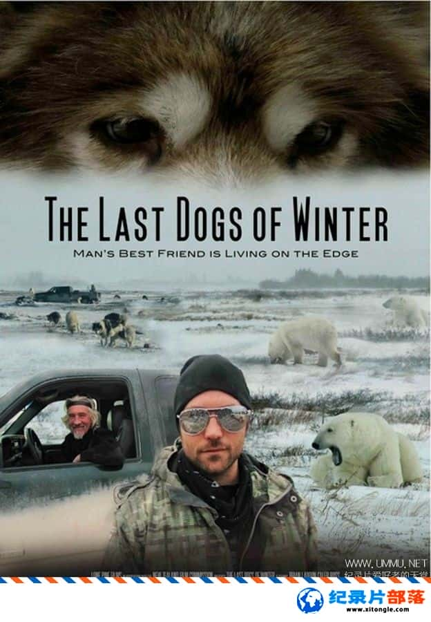 ѧ̽¼ƬΣİ˹ĦȮ The Last Dogs of Winter 2011Ӣ-Ѹ