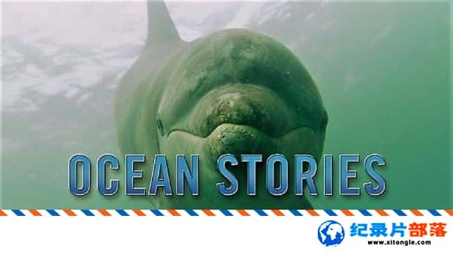 ̬¼Ƭ Ocean Stories 2015 ӢӢ-Ѹ