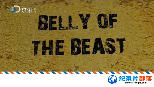 ѧ̽¼Ƭ֫е Belly of The Beast 20153 Ӣ-Ѹ