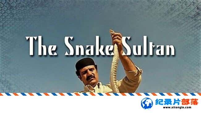 ʷ¼Ƭ The Snake Sultan 2014ӢӢ-Ѹ