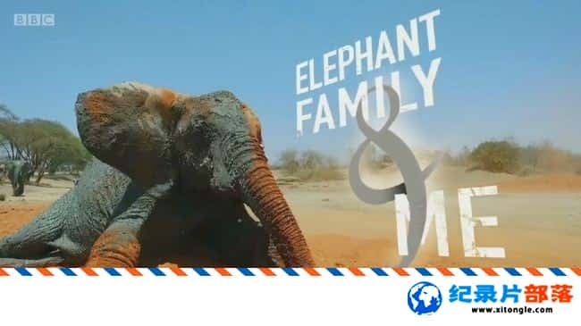 ̬¼ƬһҺ Gordon Buchanan Elephant Family Me 2016 Ӣ-Ѹ