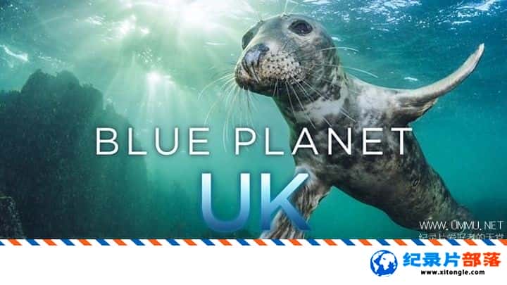 ̬¼ƬɫUK Blue Planet UK 2019һ Ӣ  ɫUK-Ѹ