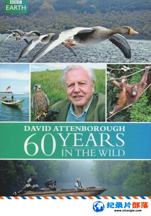 ̬¼ƬǱҰ̽60/BBCB60  Attenborough 60 Years in the Wild  ӢӢ˫ 720P Ȼ̬¼Ƭ-Ѹ