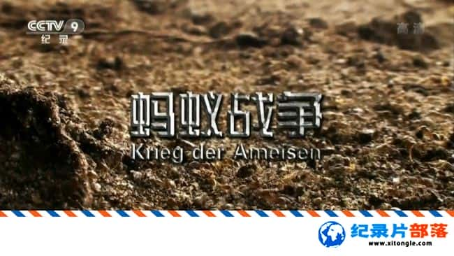 ѧ̽¼Ƭս Krieg der Ameisen 2012-Ѹ