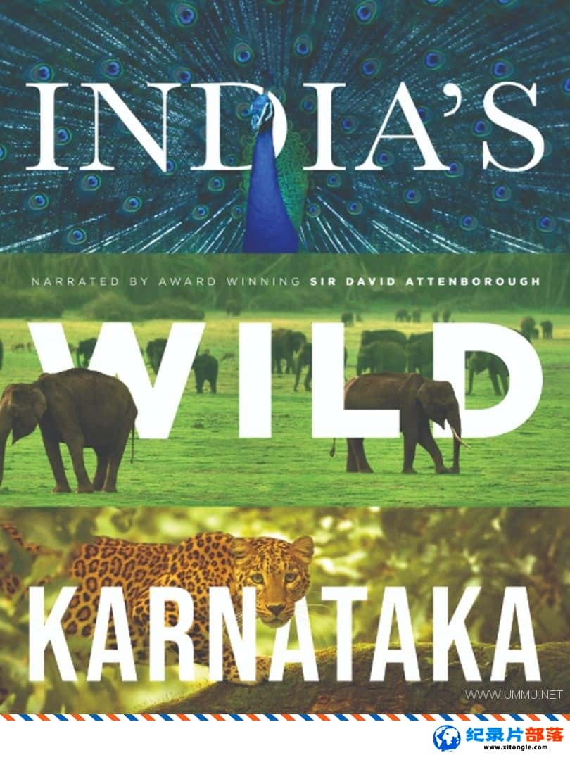 ̬¼ƬҰӡȿ˰ Wild Karnataka 2019ӢӢ˫-Ѹ