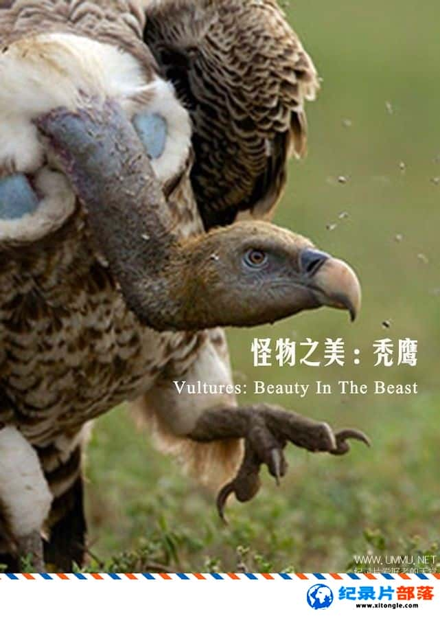 ѧ̽¼ƬͺգҰ֮ Vultures Beauty in the Beast 2016Ӣ-Ѹ