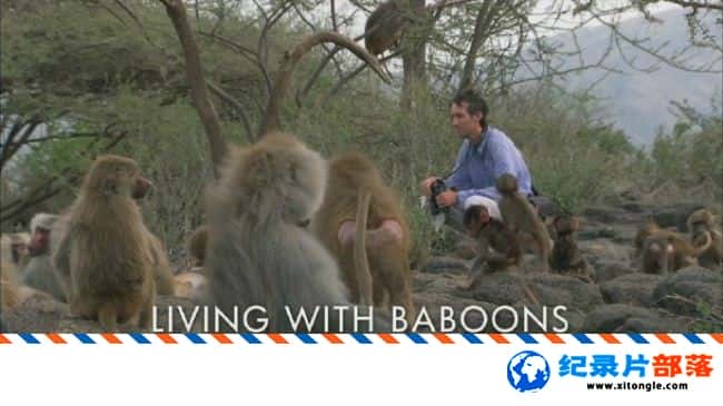 ѧ̽¼ƬȻ磺ͬ Natural WorldLiving with Baboons 2012ӢӢ-Ѹ