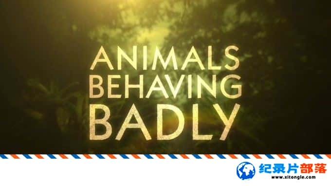 ̬¼ƬֹĻ Animals Behaving Badly 2018  ӢӢ˫-Ѹ