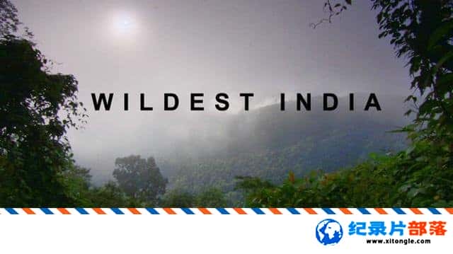 ̬¼ƬҰӡ Wildest India -Ѹ