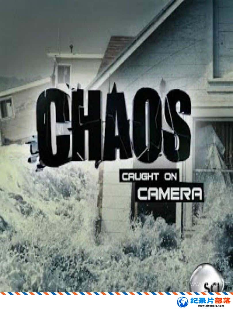 ¼¼Ƭʵһ Chaos Caught On Camera 2015 ӢӢ˫-Ѹ