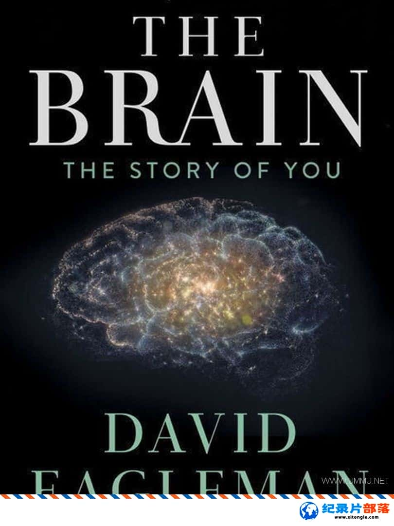 ¼¼Ƭ The Brain with David Eagleman 2015 ӢӢ˫-Ѹ