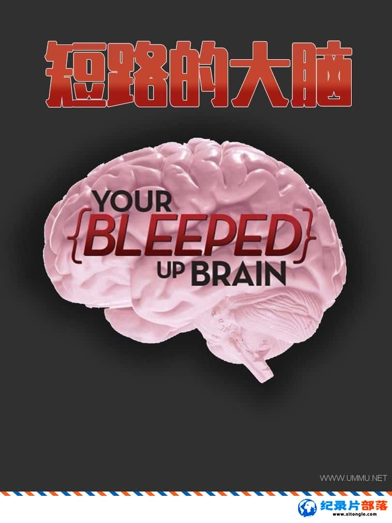 ʷ¼Ƭ·Ĵ Your Bleeped up Brain 2013һ ӢӢ˫-Ѹ