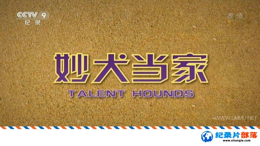 ѧ̽¼ƬȮ Talent Hounds-Ѹ